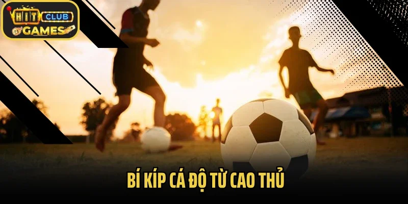 Bí kíp cá độ từ cao thủ