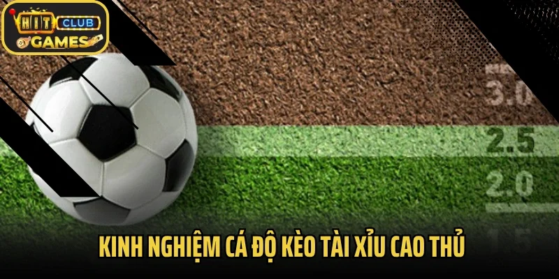 Kinh nghiệm cá độ kèo tài xỉu cao thủ