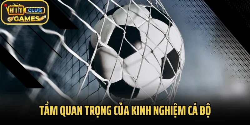 Tầm quan trọng của kinh nghiệm cá độ