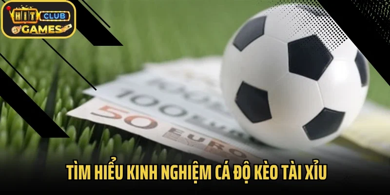 Tìm hiểu kinh nghiệm cá độ kèo tài xỉu